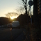 夕暮れの路肩②