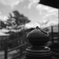 大きなタマネギの前で