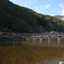 田舎の景色