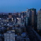 世界貿易センタービルより新橋・東京方面