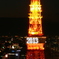 東京タワー2013