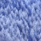 Winter Wonderland