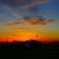 IMG_7865