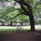 自転車ひとやすみ中