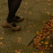_IGP8865