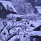 【雪に包まれて】