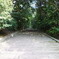 DSC09341