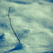 -雪影-