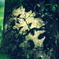 PICT0115