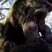 moss