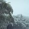 雪の音