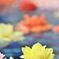 floating flowers