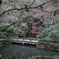 DSCN0218