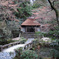 DSCN0223