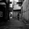路地の朝