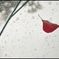 雨の下；