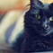 'Stop bothering me'
