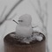 雪だるま(笑)