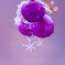 雪のアクセサリー