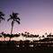 Violet Sunset 