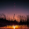 Night Gate