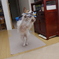捕ぉったどぉ～！