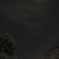 星空と樹