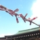 ねがい