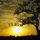Before the sunset