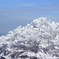 青空と樹氷