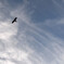いつかの空