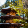 安楽寺