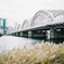 冬の河川敷