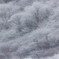 霧氷の風