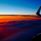sunset wing