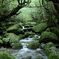 Yakushima