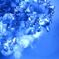 Blue World V