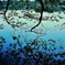 水鏡