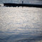 _DSC0553_DxO_DxO