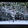 雪の額縁