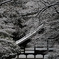 雪の南禅寺