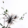 R0014434