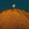 月待ちゴールド
