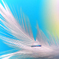 Riding on the wings of an angel