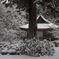 三千院雪景色