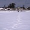みちのく冬情景８