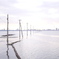 海へ向かう電柱
