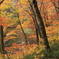 紅葉の蔦温泉