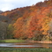 紅葉の蔦温泉