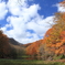 紅葉の蔦温泉
